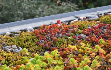 the cost of Shiplaw green roof installation
