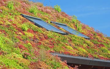 Shiplaw living roof systems