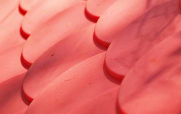 Shiplaw plastic roof costs